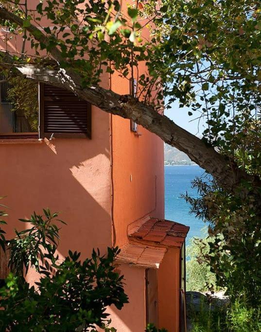 Ferienwohnung Casa Marine Du Soleil 60 Patrimonio Exterior foto